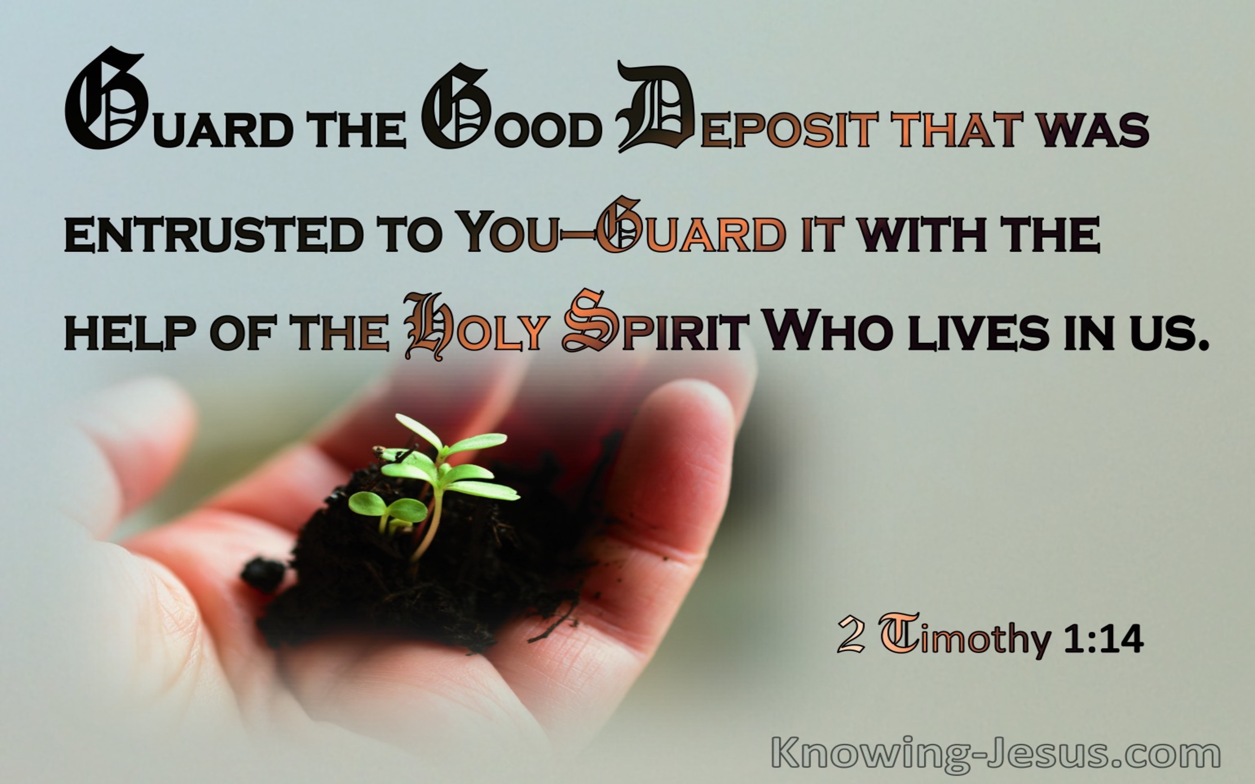 2 Timothy 1:14 Guard The Treasure Entrusted To You (sage)